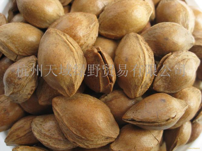 小银杏